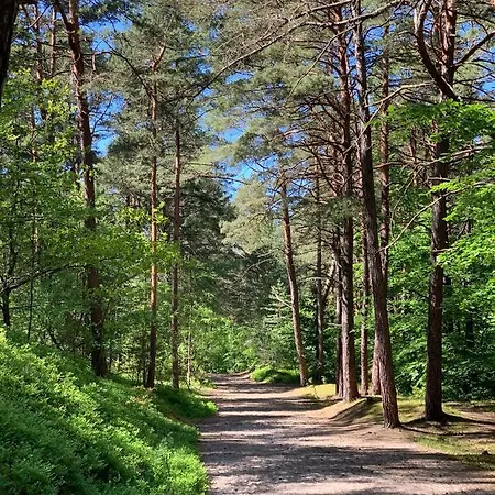 Jantarowe Zacisze Bursztynowe Osiedle Aparthotel 4*