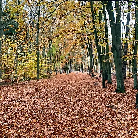 Jantarowe Zacisze Bursztynowe Osiedle 4* Jantar