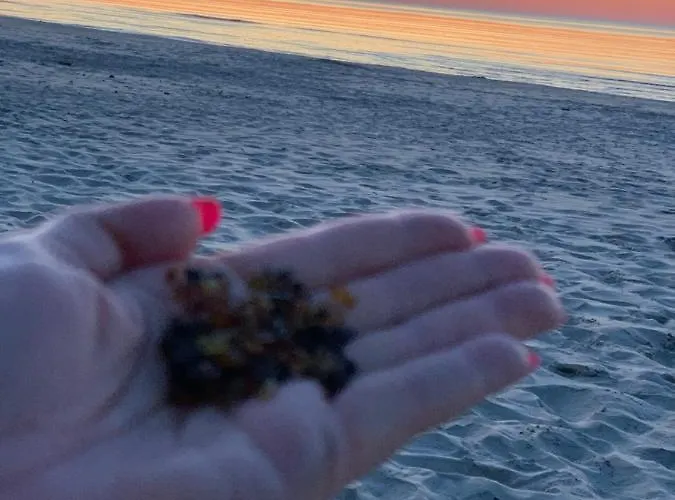 Апарт-отель Jantarowe Zacisze