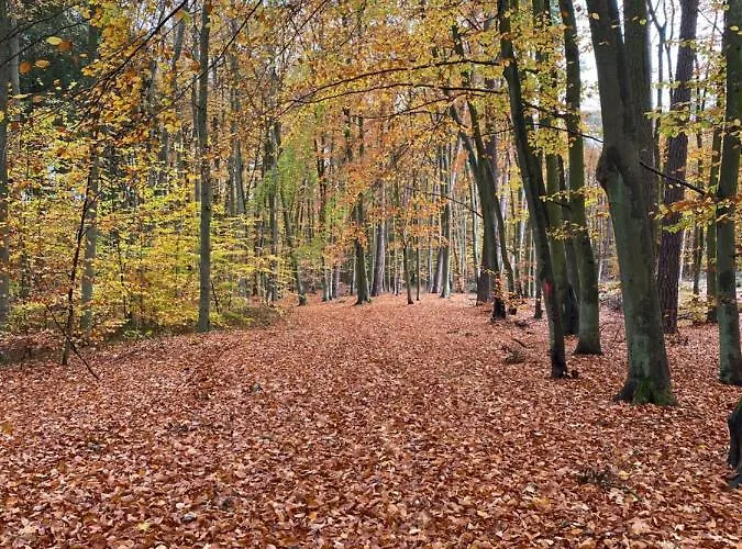 Jantarowe Zacisze Апарт-отель