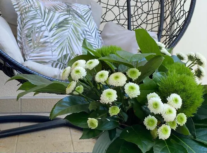 Jantarowe Zacisze Апарт-отель Янтар