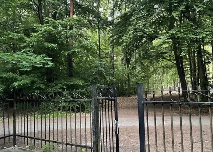 Jantarowe Zacisze Апарт-отель Янтар